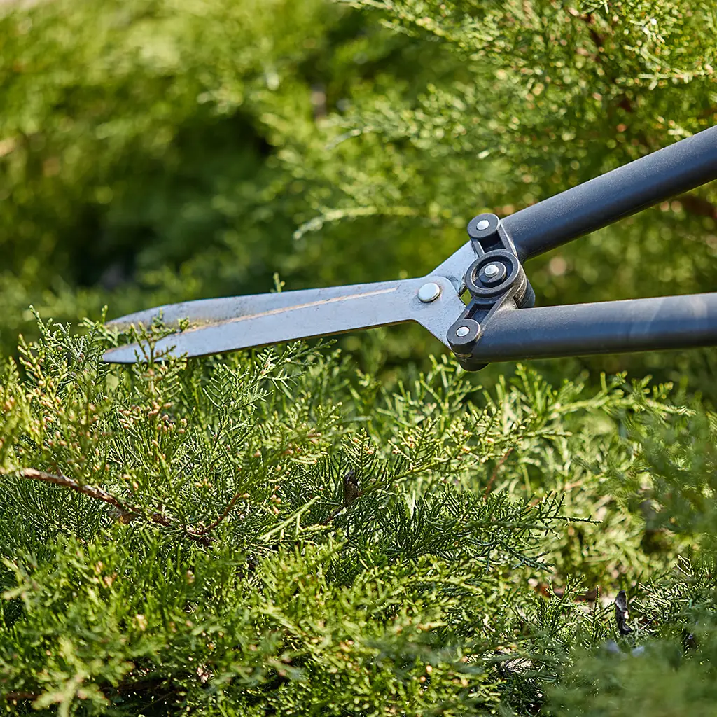 Strihanie živých otázok najčastejčie otázky