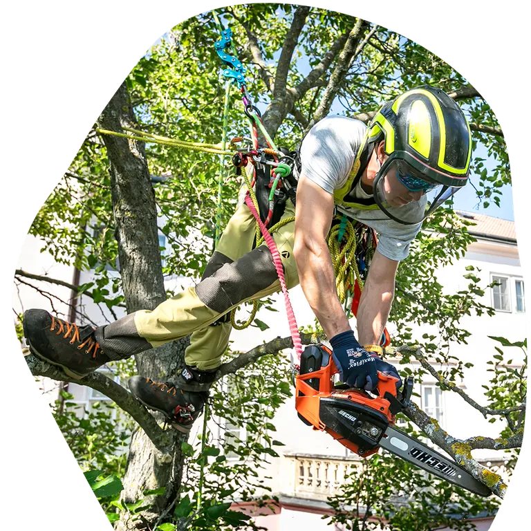 Hero-arboristika Profesionálny arborista na strome